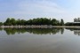 Thumbs/tn_Beetle at the beach 2022 024.jpg